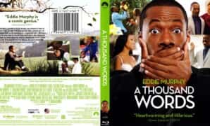 sinopsis a thousand words