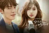 Uncontrollably Fond 2016