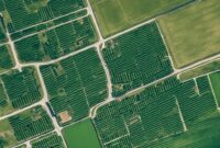 Panduan Lengkap Litigasi Tanah di Indonesia