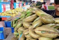 Kasus Nyata Perjanjian Jual Beli Tanah: Pelajaran yang Dapat Dipetik